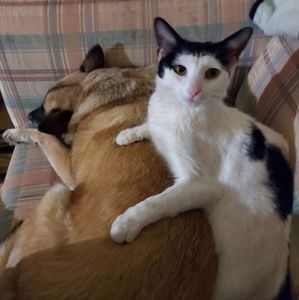 Meet your Posher, Lisa